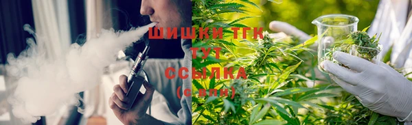 шишки Алексин