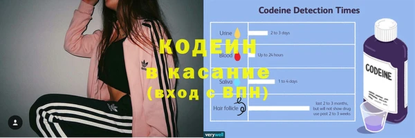 молекула духа Алзамай