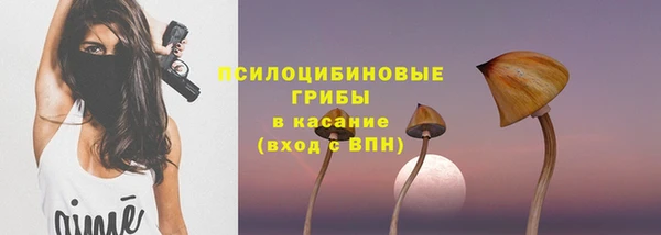 молекула духа Алзамай