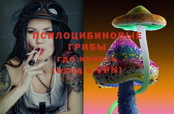 винт Алексеевка