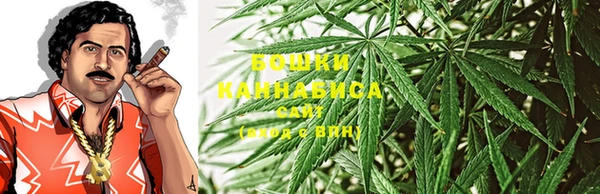 молекула духа Алзамай