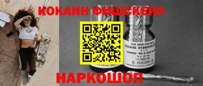 гашик Сланцы