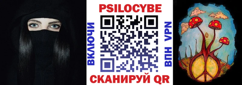 OMG tor  Черкесск  Галлюциногенные грибы прущие грибы 