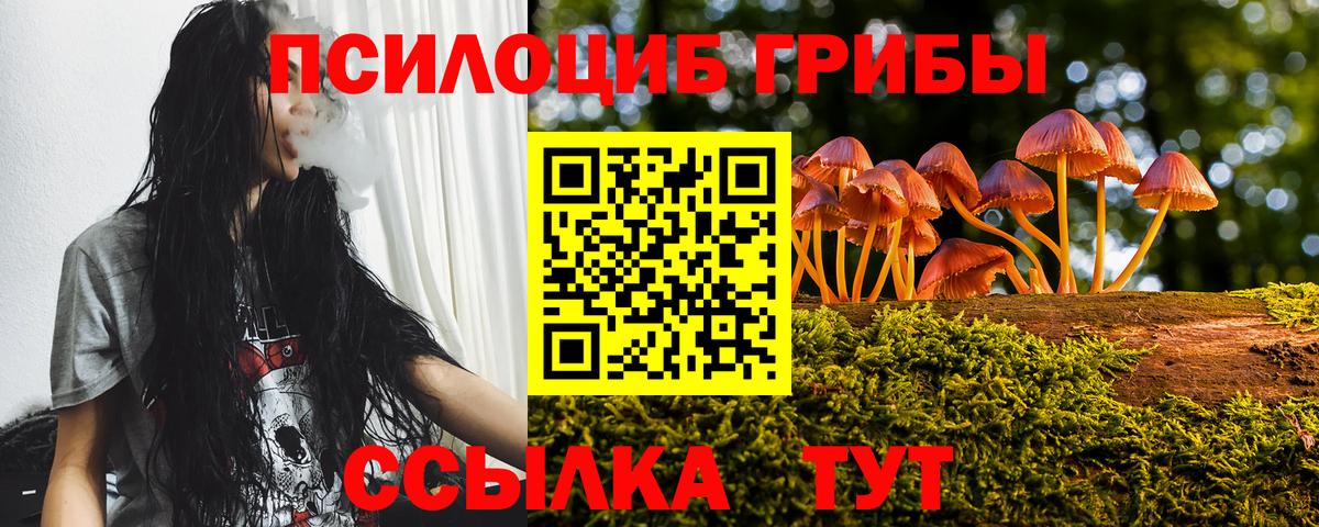 Черкесск  продажа наркотиков  Вход с VPN  Псилоцибиновые грибы Psilocybe 